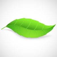 Green Leaf Vector For Download About Clipart