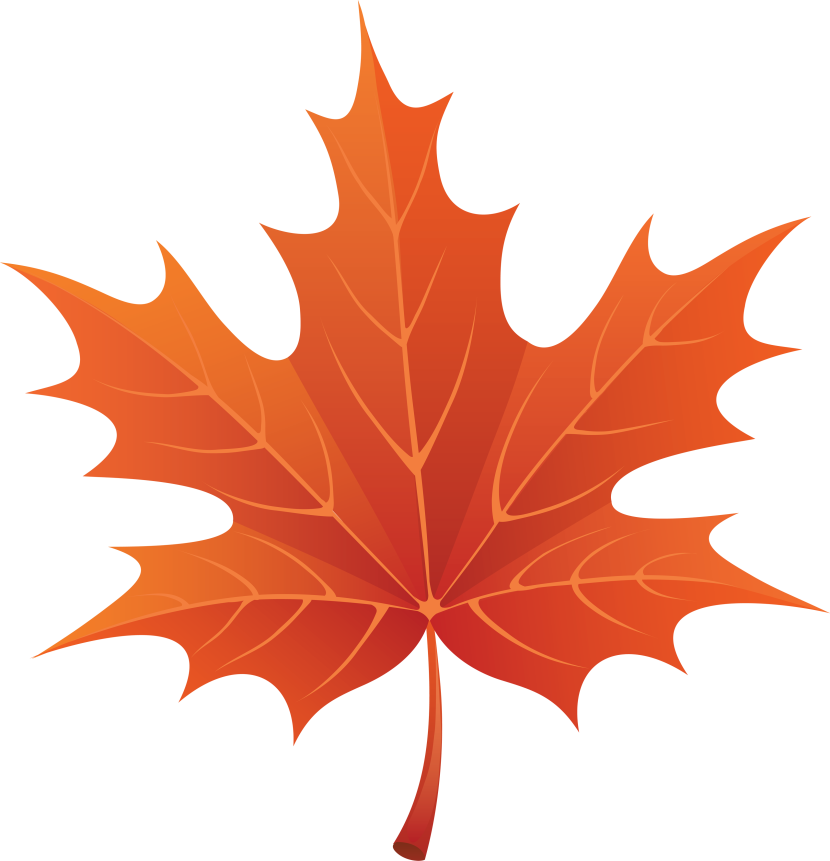 Maple Leaf Com Png Image Clipart