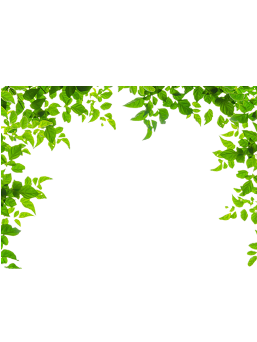 Download And Leaf Leaves Green Frames Borders Border Clipart PNG Free