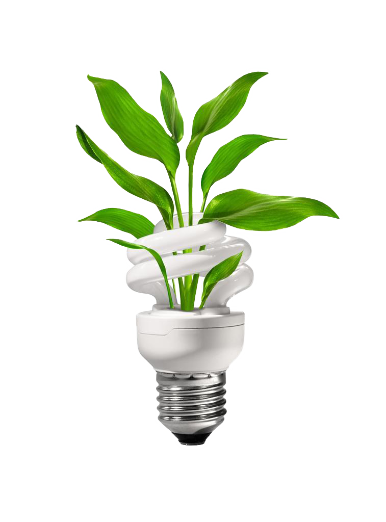 Bulbs Energy Engineering Conservation Green Energy-Saving Clipart