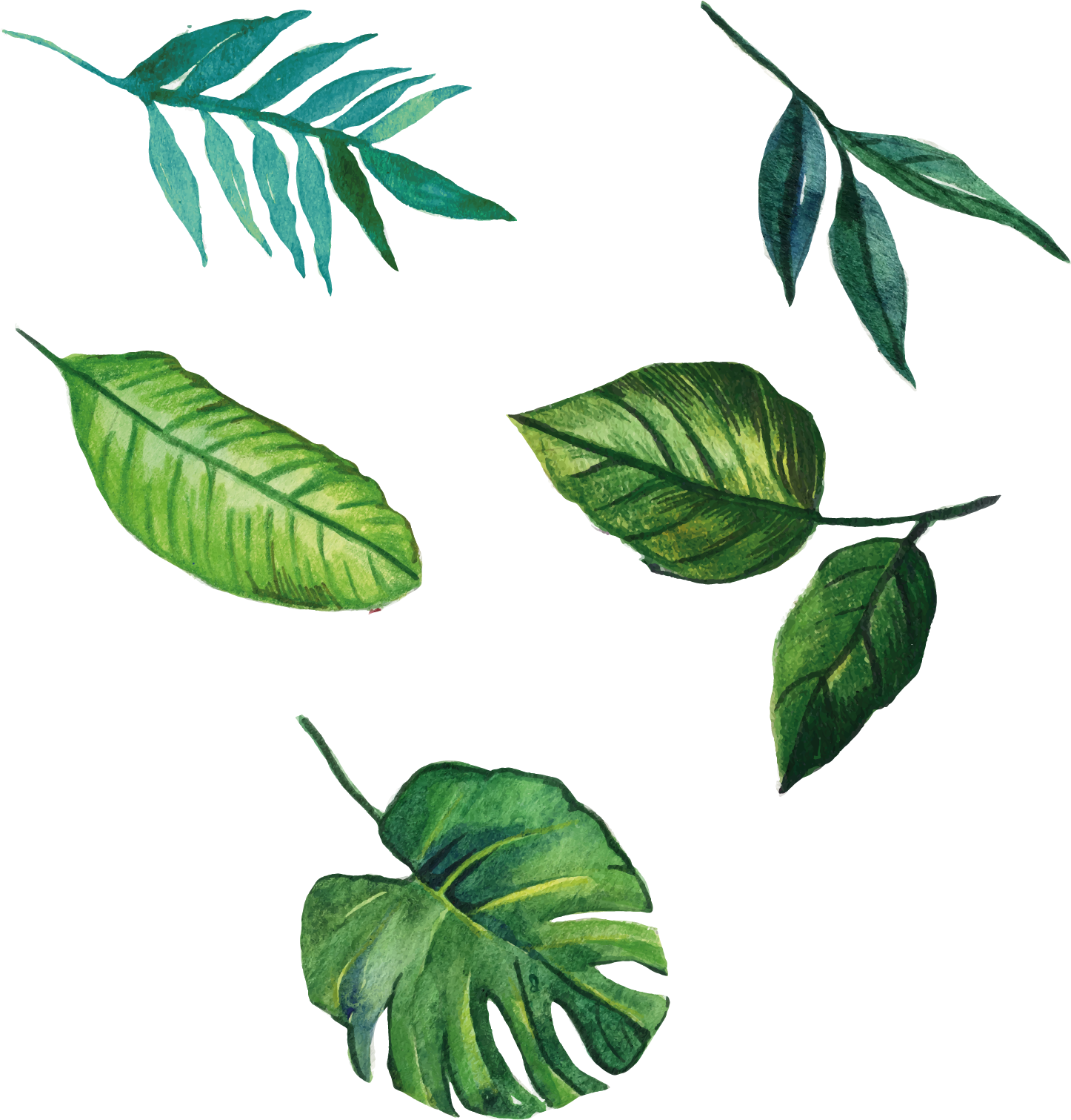 Euclidean Leaves Vector Leaf Hand-Painted Free Download Image Clipart