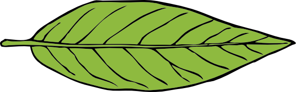 Leaf To Use Png Image Clipart
