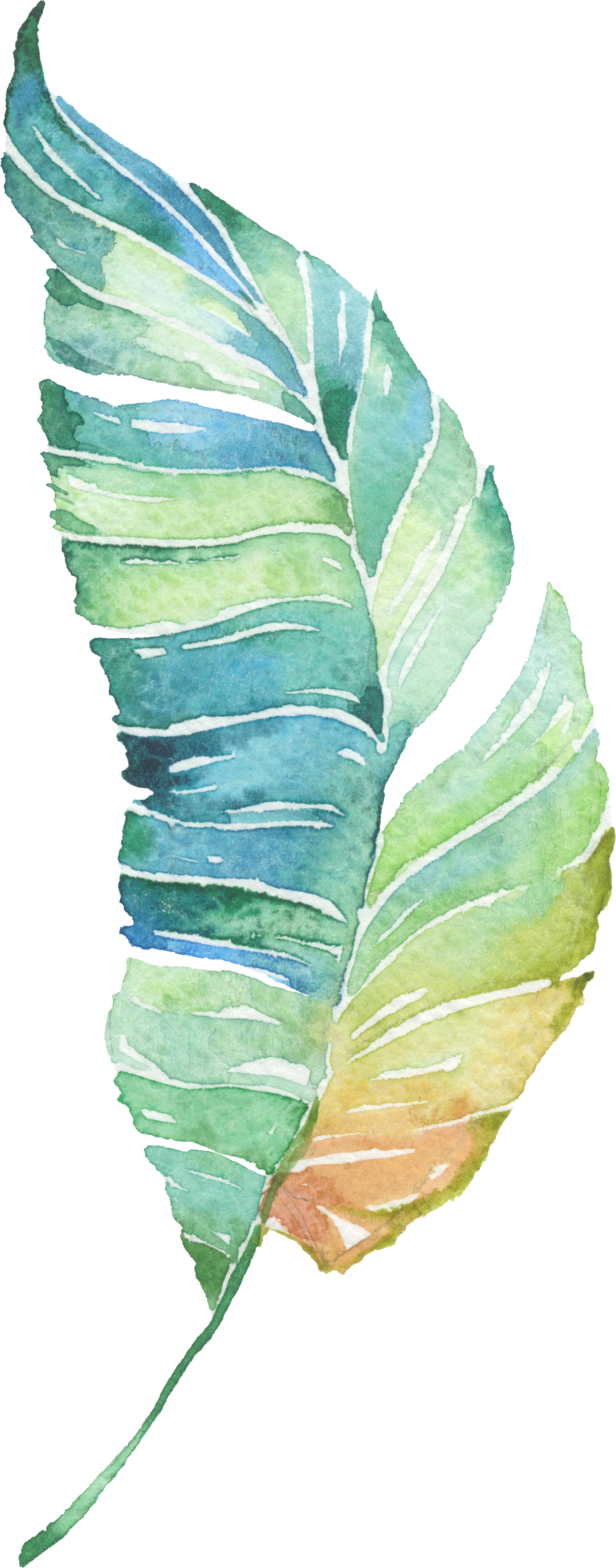Water Painted Leaves Green HD Image Free PNG Clipart