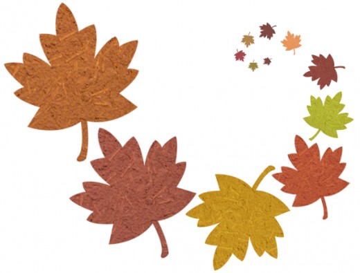 Fall Leaves Png Image Clipart