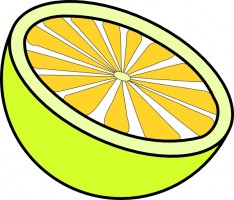 Lemon Vector For Download About Free Download Clipart