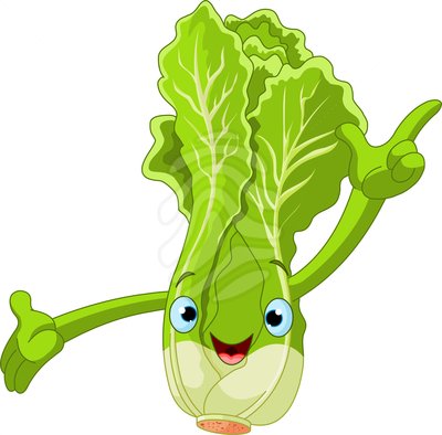 Cartoon Lettuce Png Image Clipart