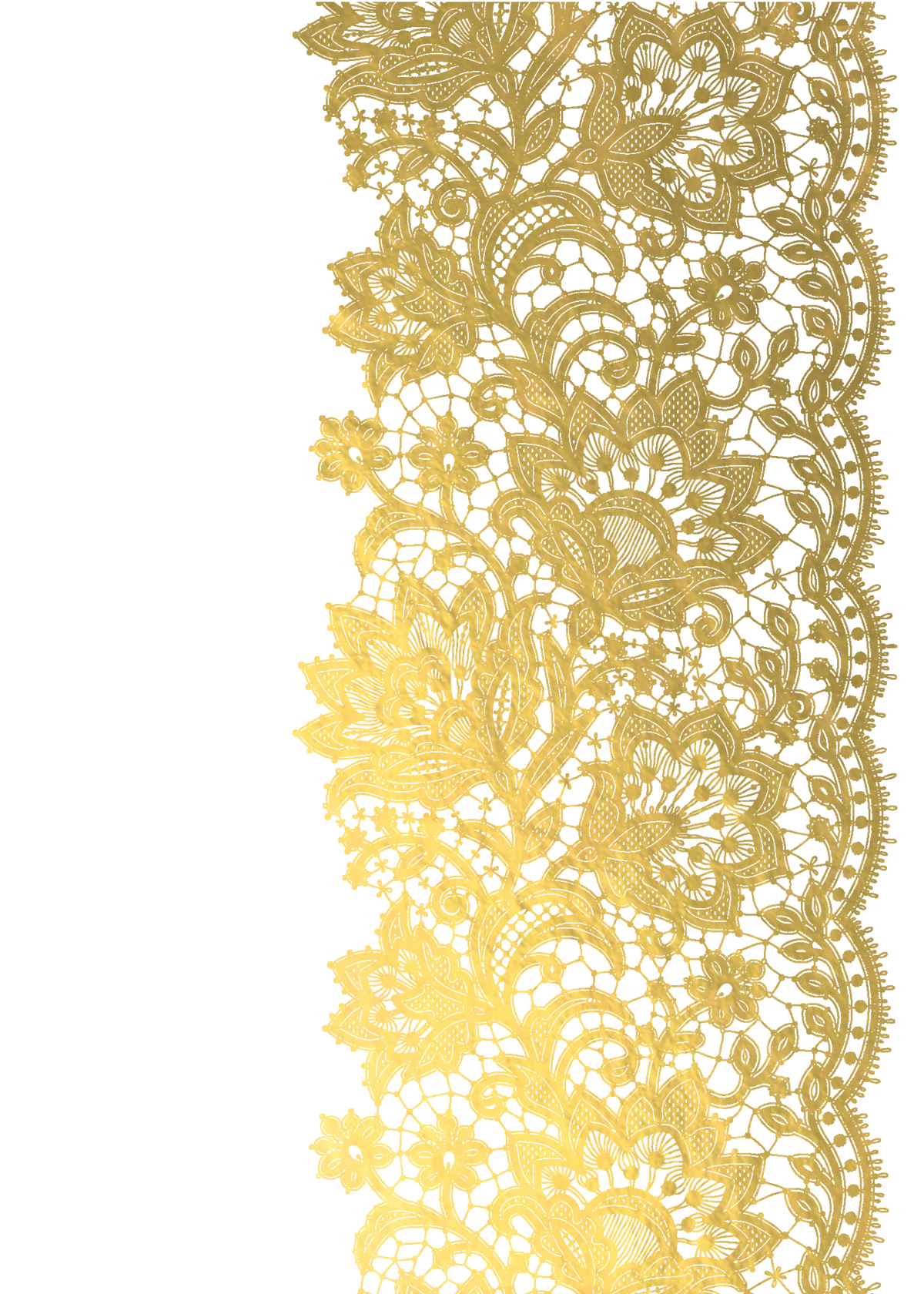 Download 21 lace-transparent-background Free-Lace-Background-Png-Download-Free-Clip-Art-Free-Clip-.png