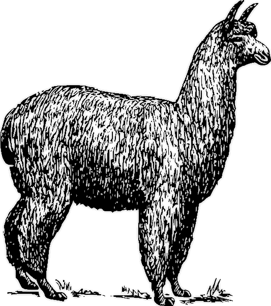Free Llama 1 Page Of Public Domain Clipart