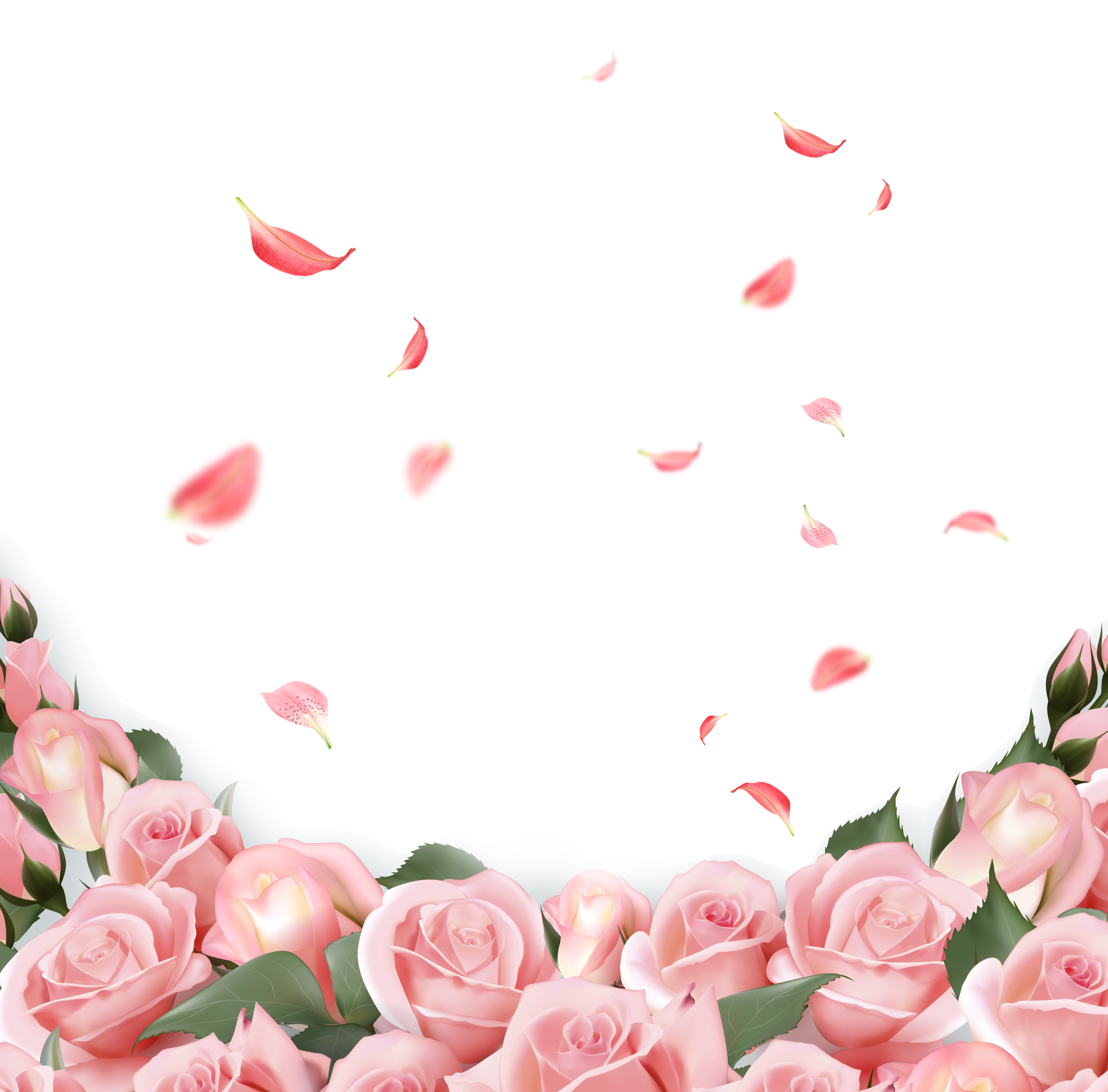 Pink Rose Flower Invitation Wedding Free HQ Image Clipart