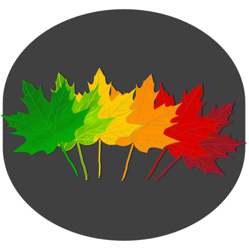 Maple Leaves On Gray Background Clipart