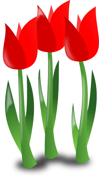 Free May Download On Hd Image Clipart