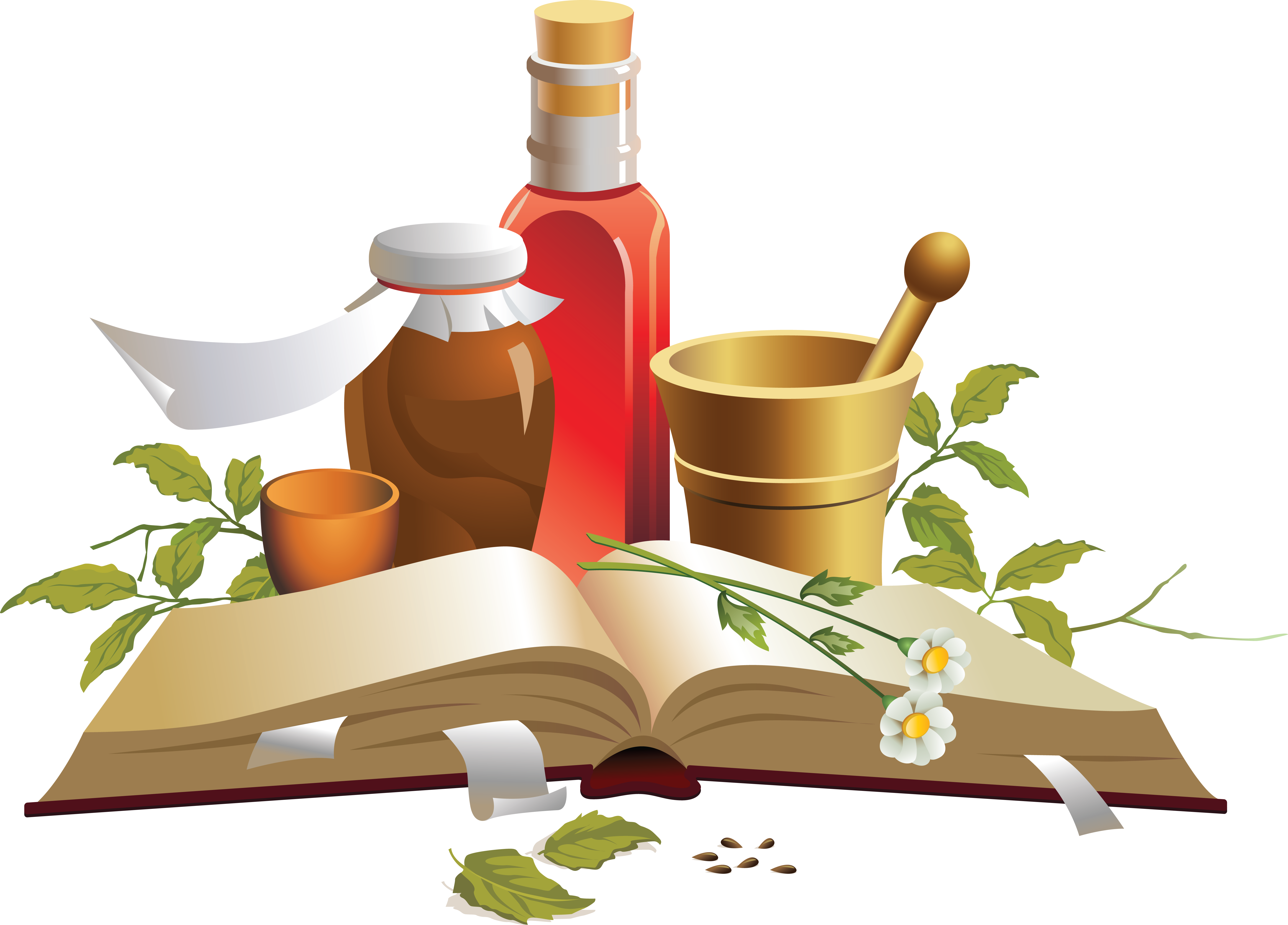 Traditional Medicine Therapy Chinese Others HQ Image Free PNG Clipart