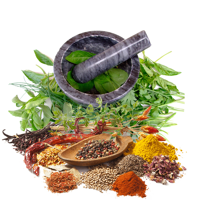 Ayurveda Services Health Medicine Herbalism Herbal Alternative Clipart