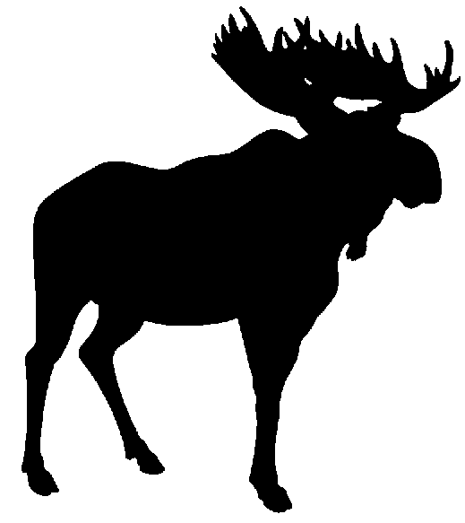 Moose Birthday Images Png Images Clipart
