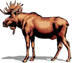 Images About Moose On Funny Moose Alaska Clipart