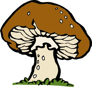 Mushrooms Image Free Download Png Clipart