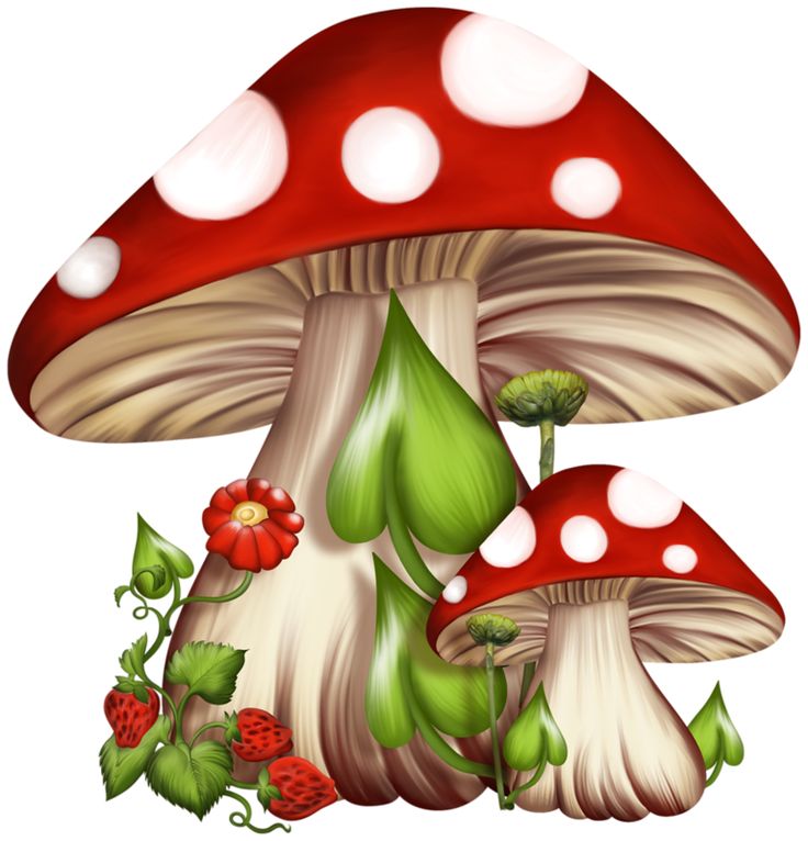 Mushrooms Images On Mushrooms And Free Download Png Clipart