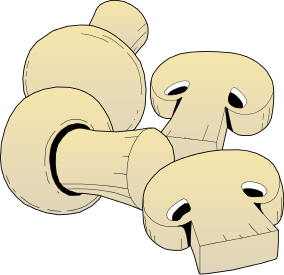 Free Mushroom Image 1 Of Image Png Clipart
