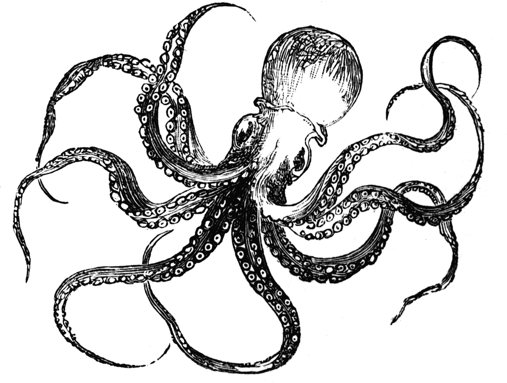 Octopus Art Free Download Clipart