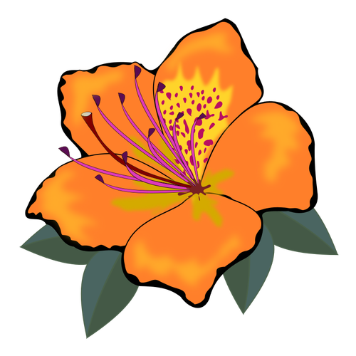 Orange Flower With Leaves Clipart