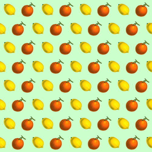 Citrus Fruit Pattern Clipart