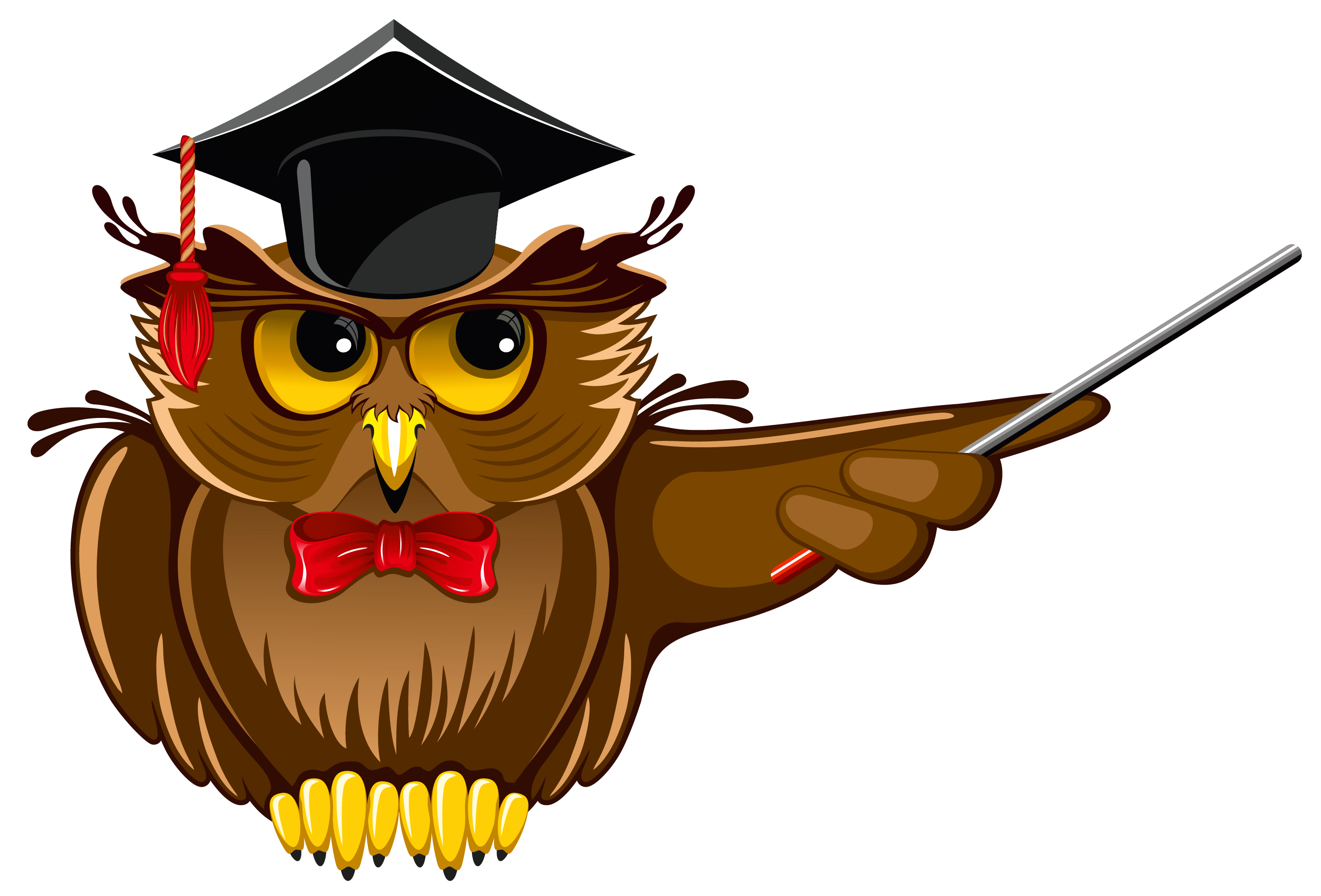 Owl Degree Doctor Of University Philosophy Academic Clipart