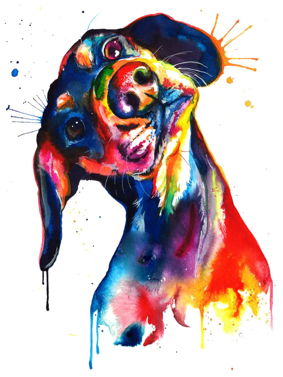 Canvas Watercolor Print Puppy Painting Dachshund Clipart