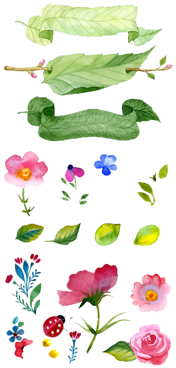 Flower Illustration Watercolor Flowers Painting Hand-Painted Clipart