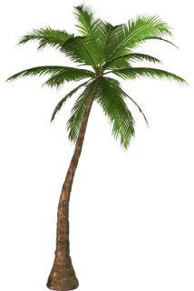 Free High Resolution Graphics And Palm Tree Clipart