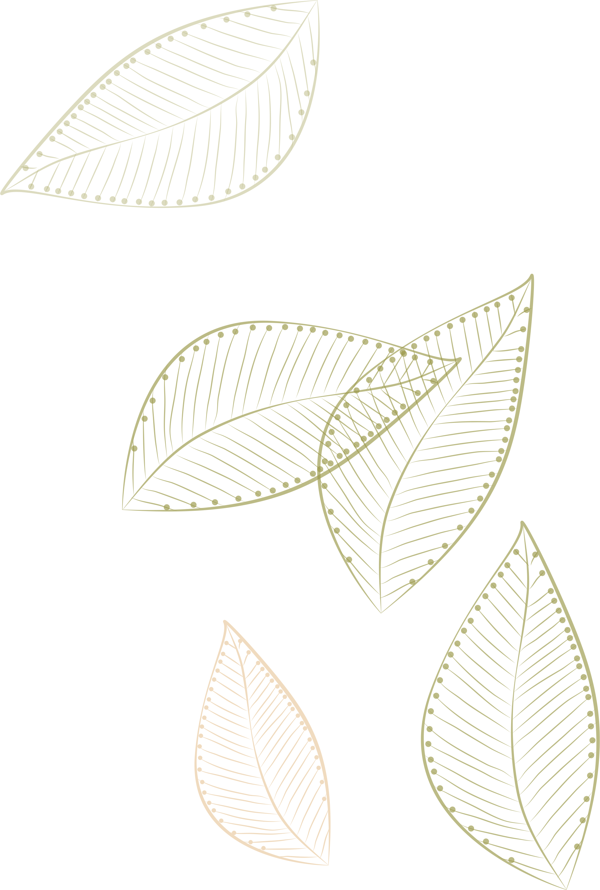 Pattern Leaves -Painted Paper White Floating Clipart