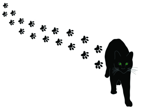 Paw Print Wildcats On Dog Paws Paw Clipart