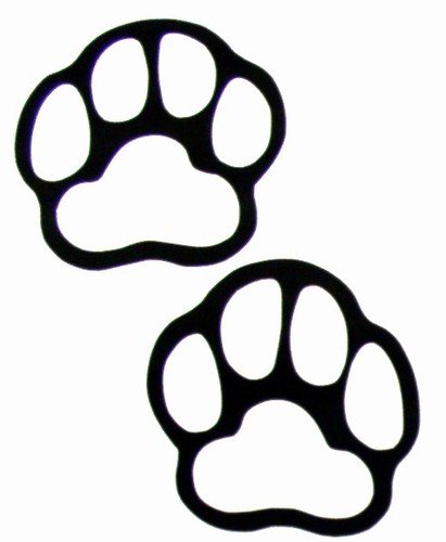 Grizzly Bear Paw Print Images Hd Photos Clipart