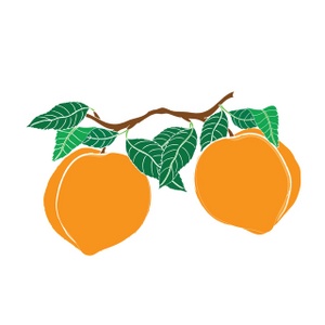 Peach Border Kid Png Image Clipart