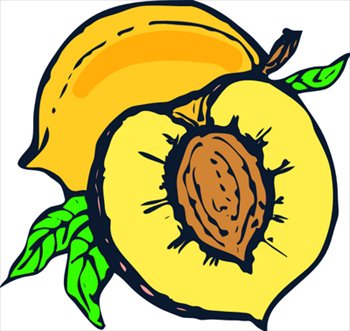 Free Peaches Graphics Images And Photos Clipart