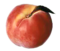 Free Peach 1 Page Of Public Domain Clipart