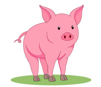 Free Pig Pictures Graphics Illustrations Free Download Png Clipart