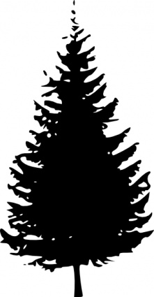Pine Tree Black And White Free Download Png Clipart