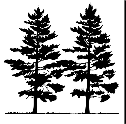 Tats On Pine Tree Tattoo Pine Tree Clipart