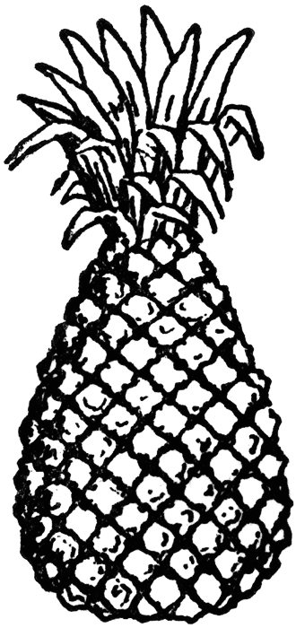 Pineapple Download Png Clipart