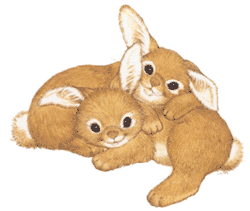 Animated Rabbit Danasrfh Top Download Png Clipart