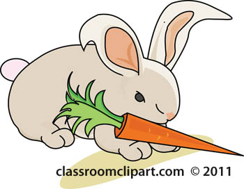 Rabbit Rabbit With Carrot Png Image Clipart