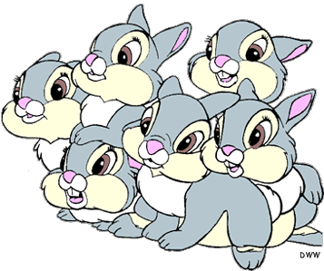 Free Pet Rabbit 1 Page Of To Clipart