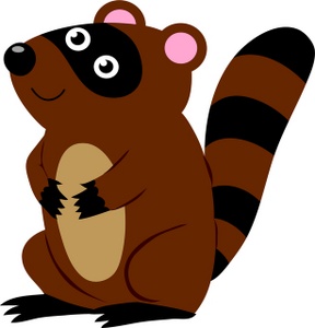 Raccoon Images Download Png Clipart