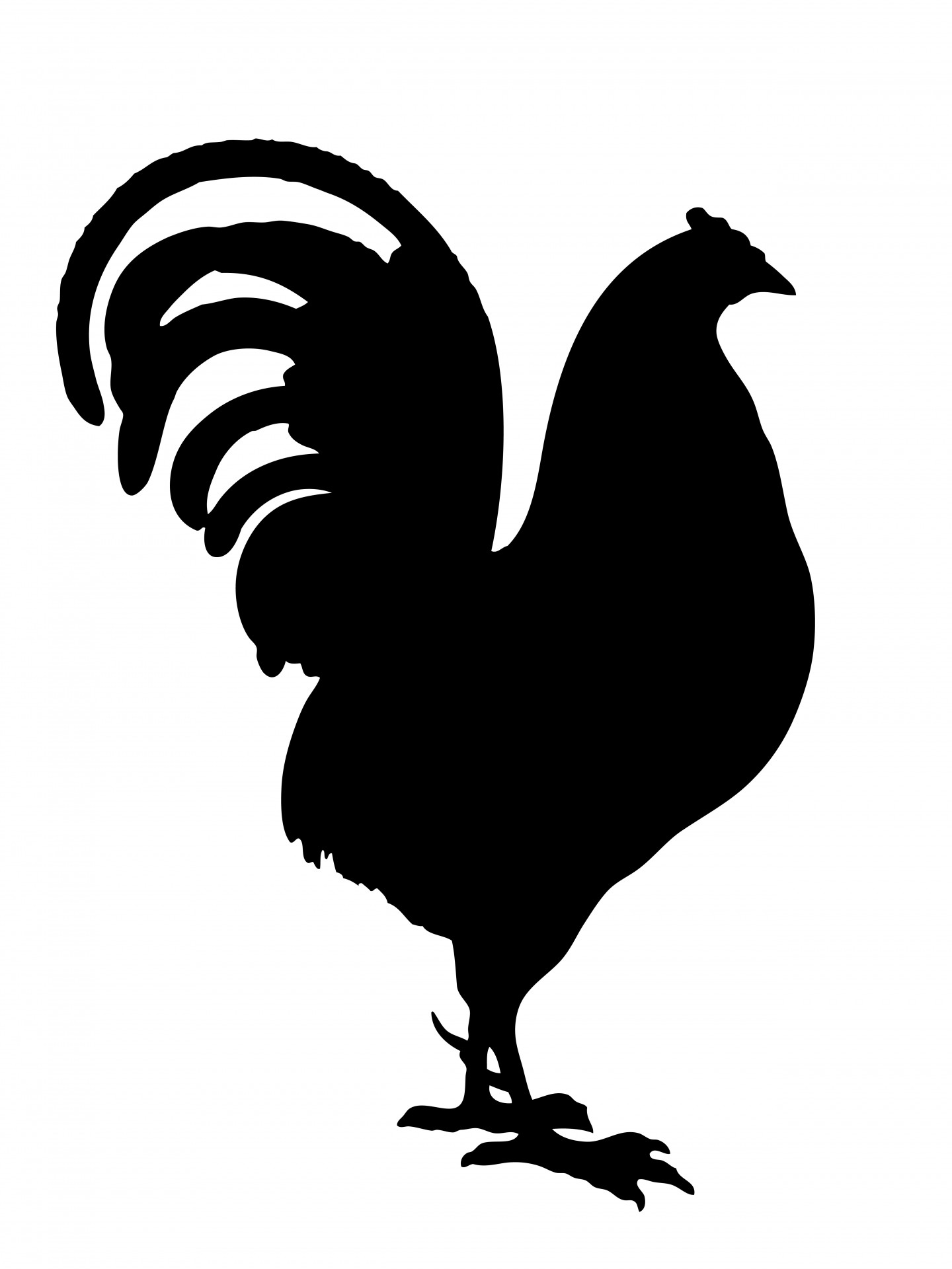 Rooster Black Silhouette Stock Photo Public Domain Clipart