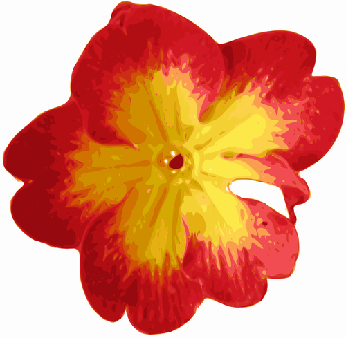 Traced Flower Clipart
