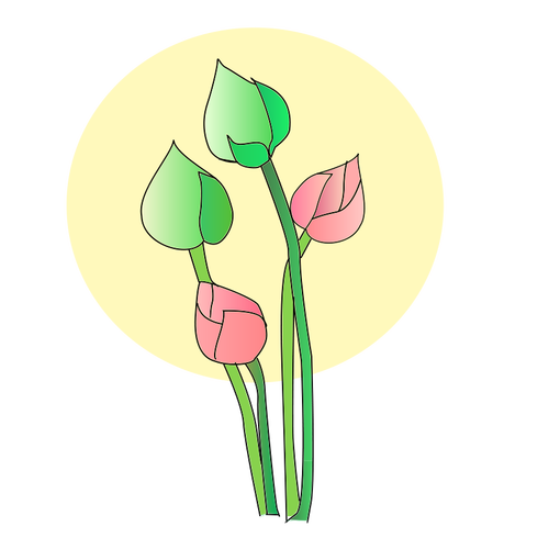 Tulip Flower Clipart