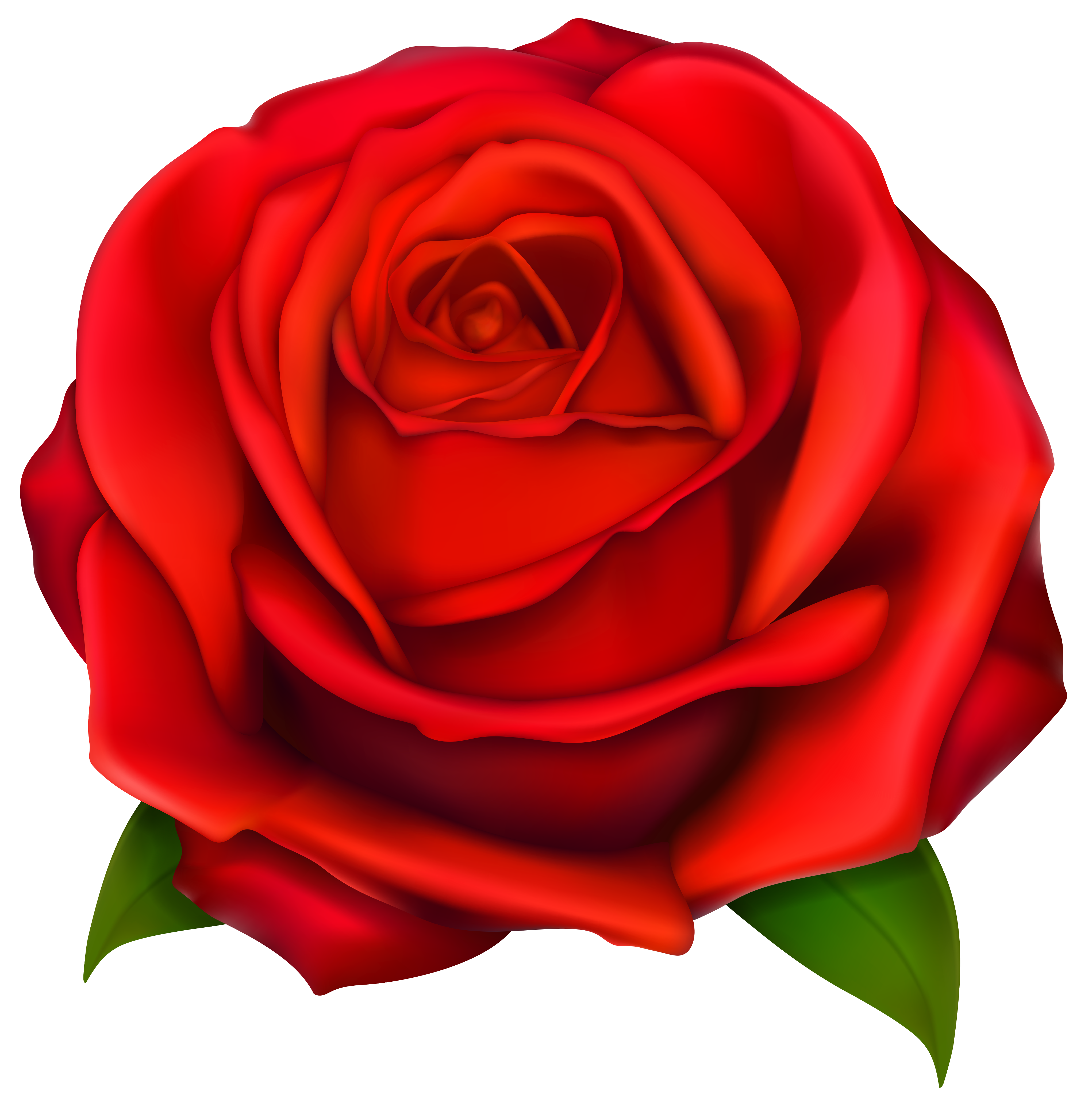 Image Of Red Rose 2 Red Roses Clipart