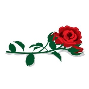 Red Roses Images Download Png Clipart