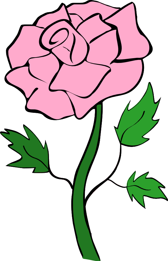 Roses Pink Rose Noelle Nichols Free Download Png Clipart