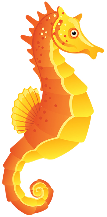 Seahorse Sea Horse Image Image Png Clipart